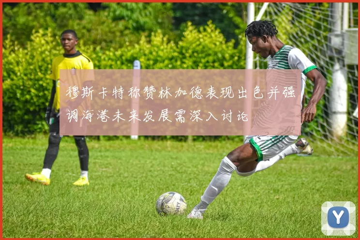 穆斯卡特称赞林加德表现出色并强调海港未来发展需深入讨论